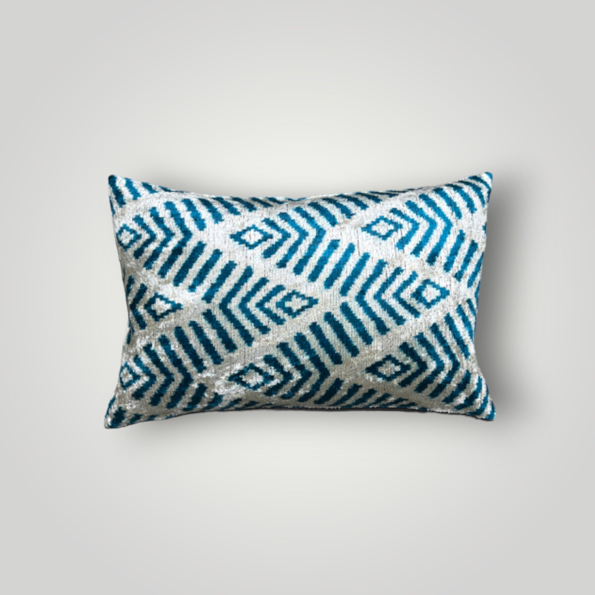 Velvet Cushion 40x60cm