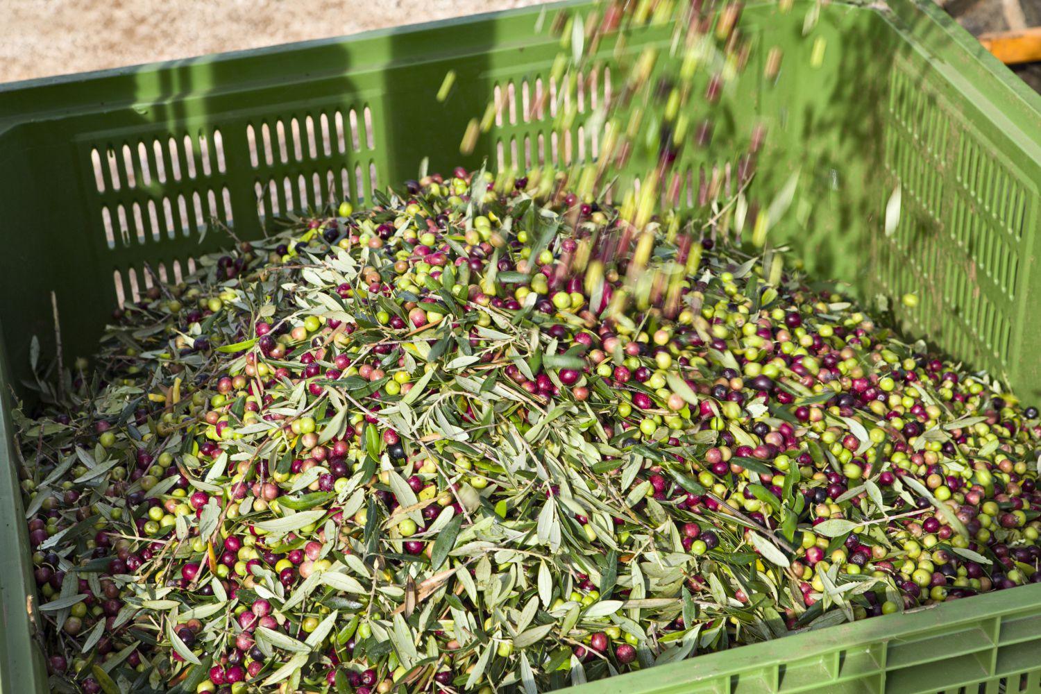 Venterra - Le Fineza - Home Interior Chalet Design