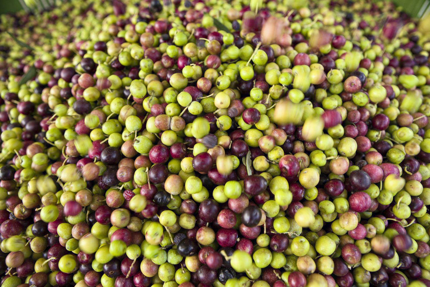 Venterra - Le Fineza - Home Interior Chalet Design