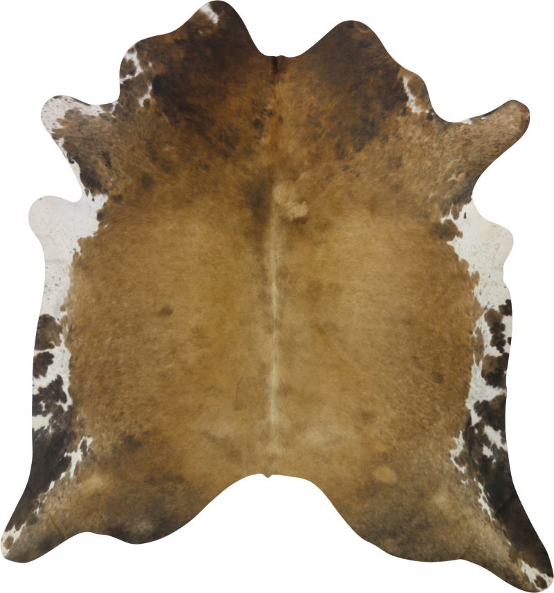 pelle di toro