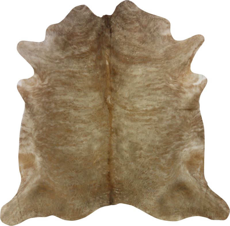 pelle di toro