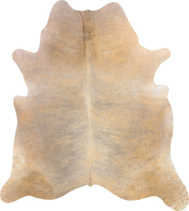 pelle di toro