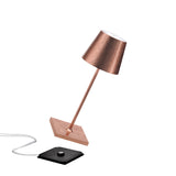 Poldina Mini