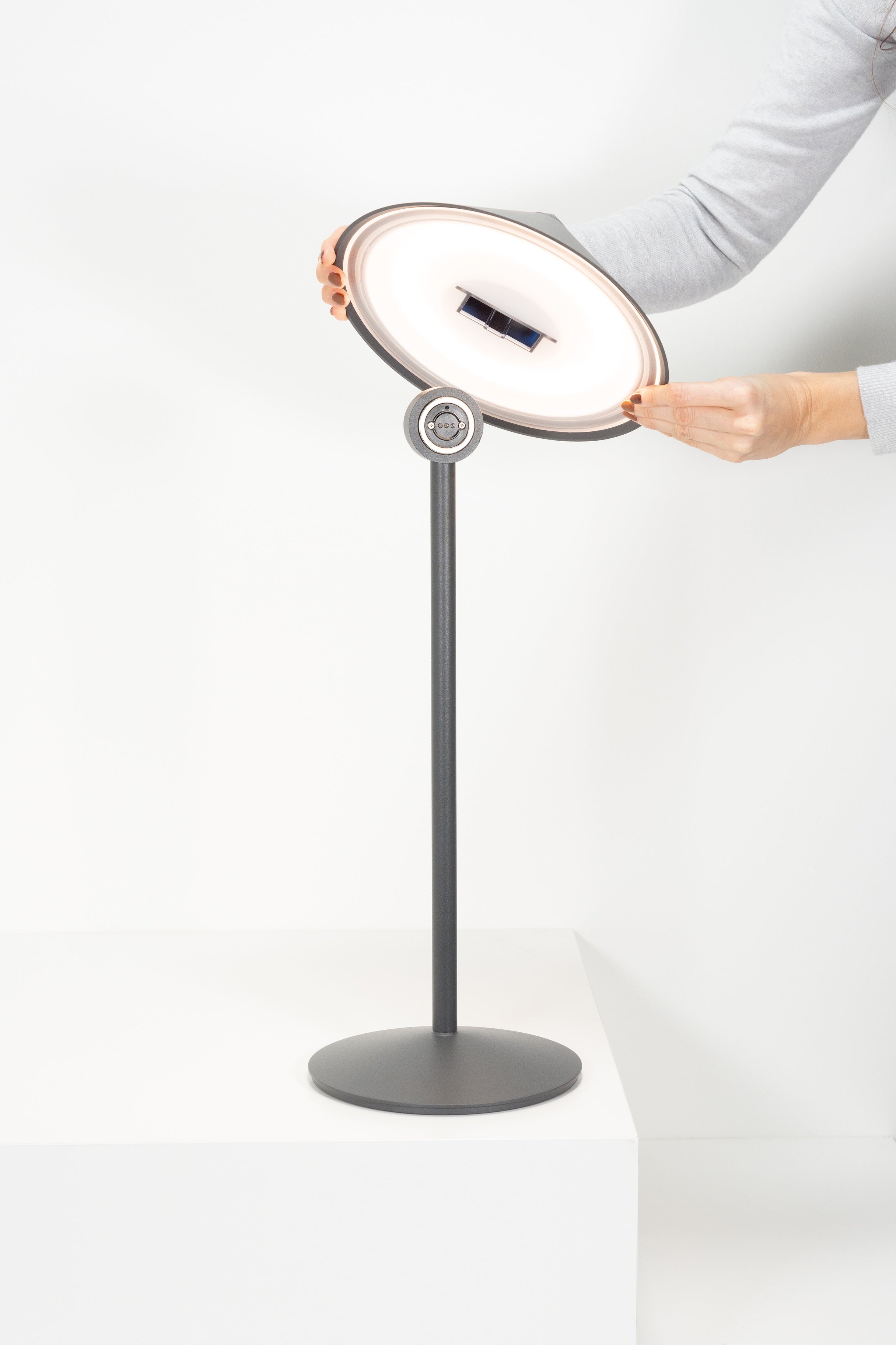 Pina L Desk