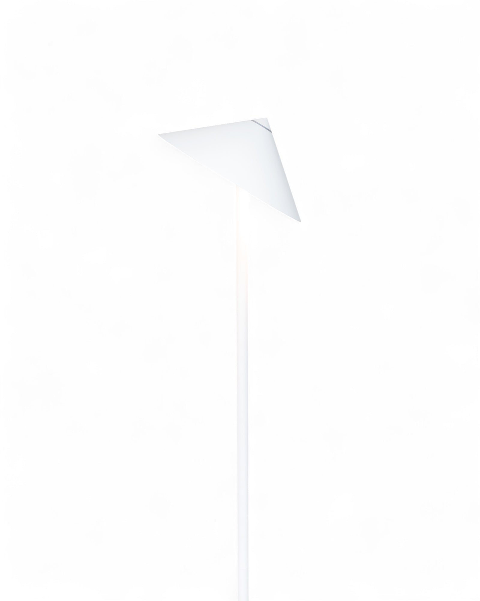 Pina XXL