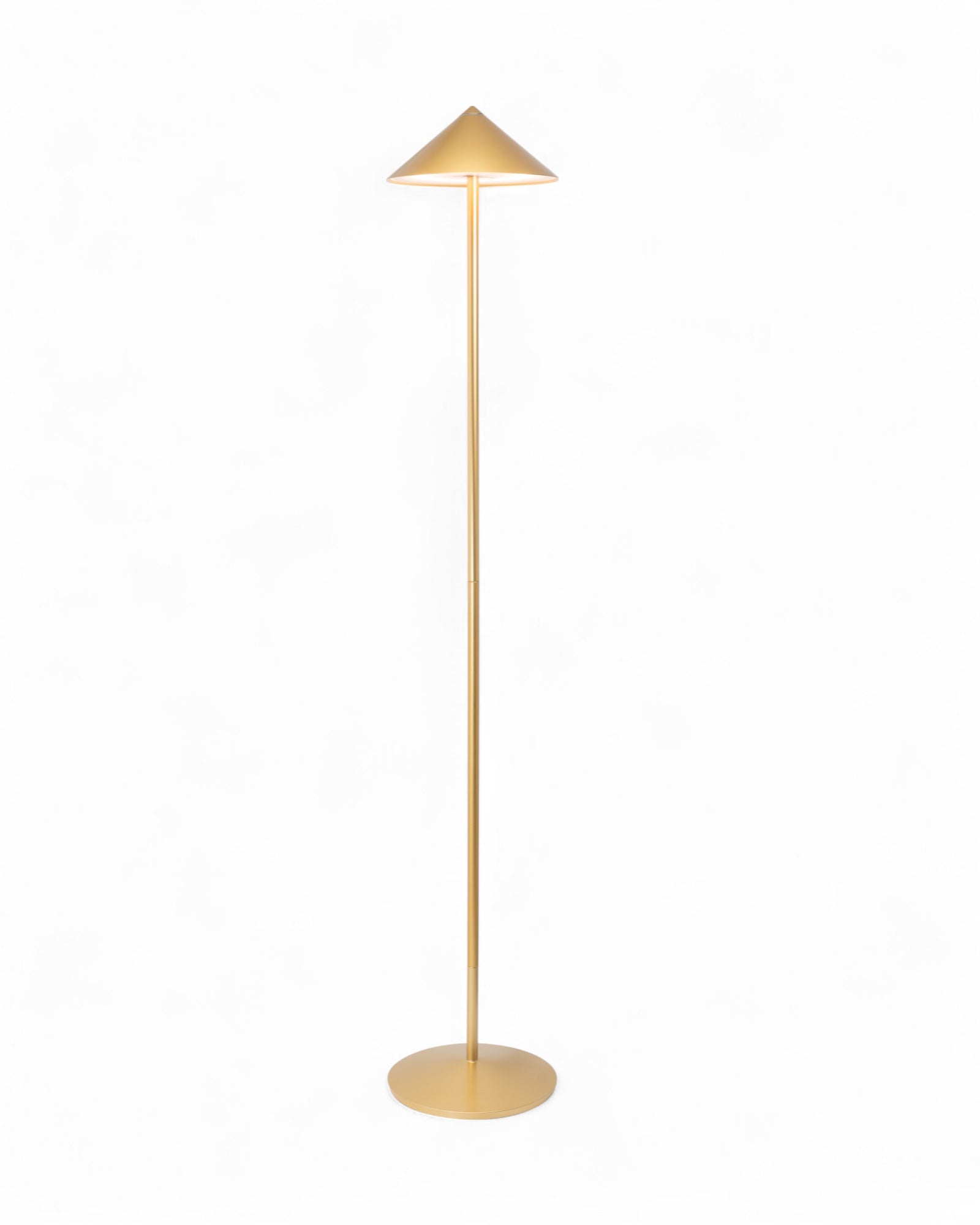 Pina XXL