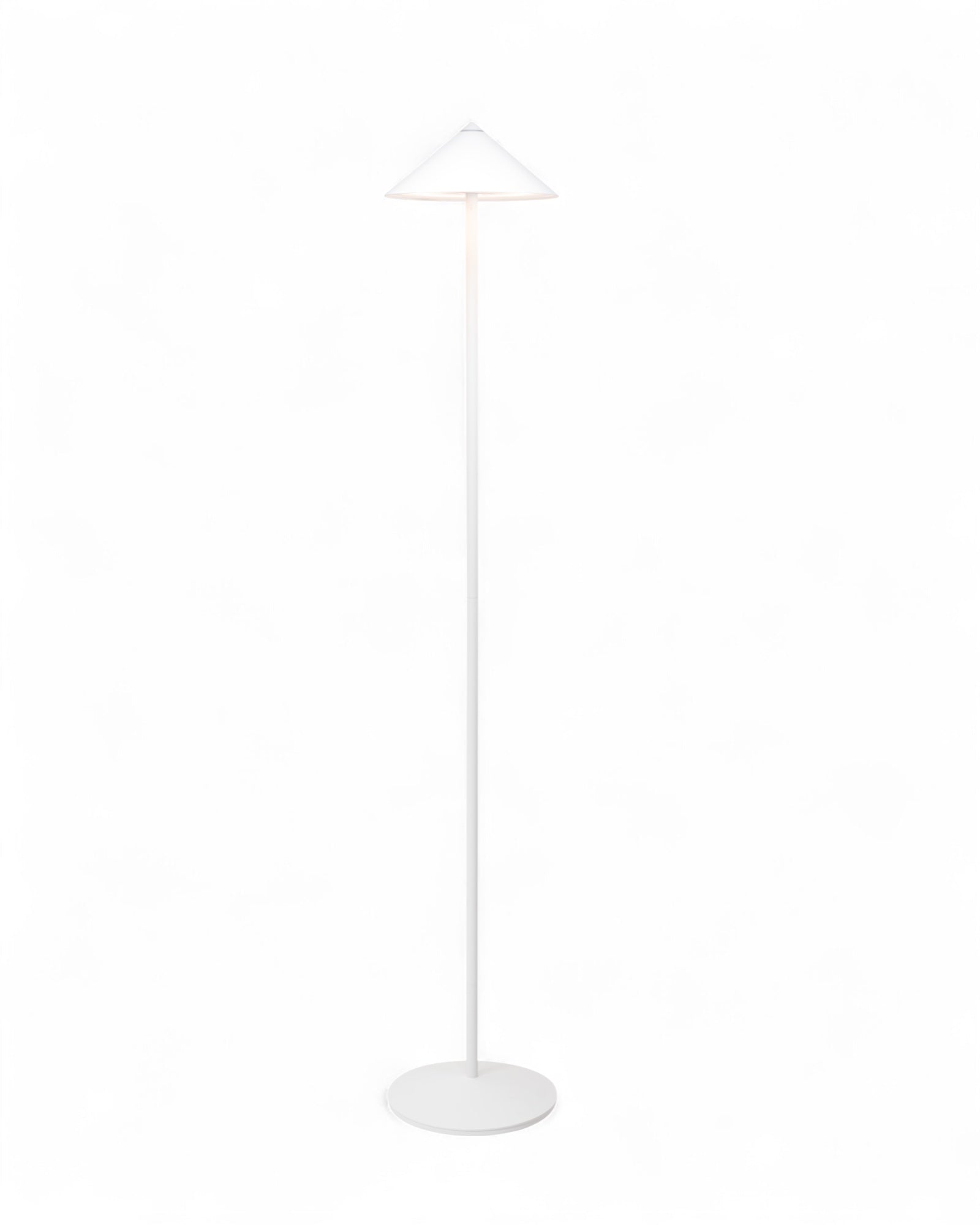 Pina XXL