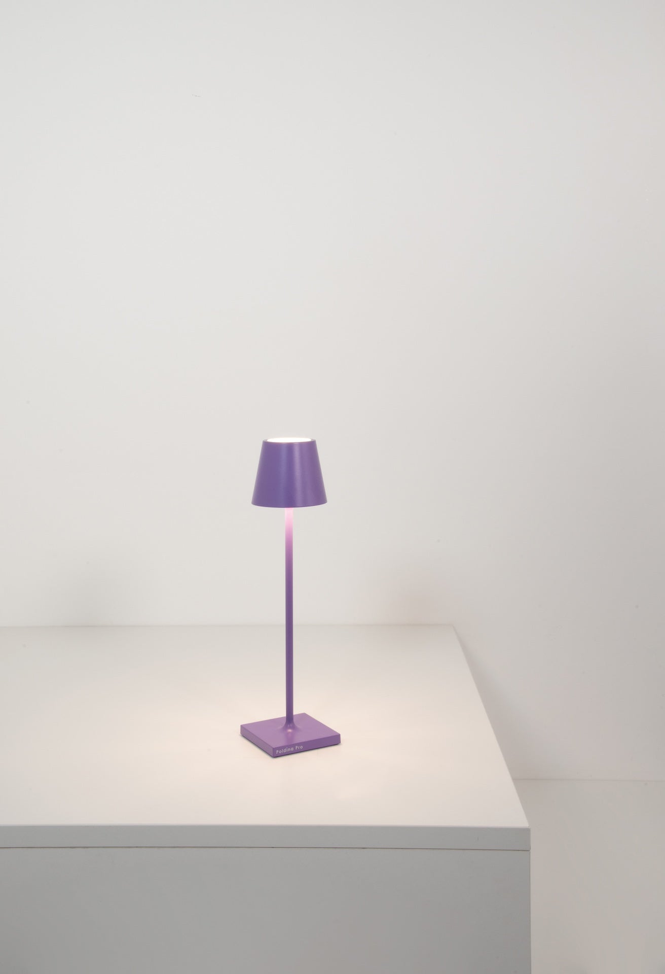 Poldina Pro Micro